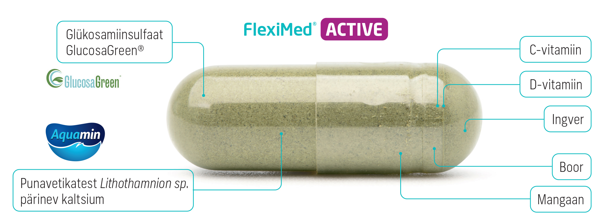 Natural Pharmaceuticals FlexiMed® Active FlexiMed® Active toidulisandi kapsel koos märgitud koostisosadega: glükoosamiin GlucosaGreen®, punastest vetikatest saadud kaltsium Aquamin®, vitamiinid C ja D, ingver, boor ja mangaan.